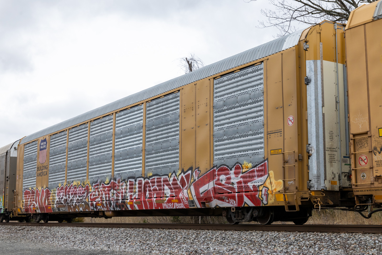 TTGX 821993