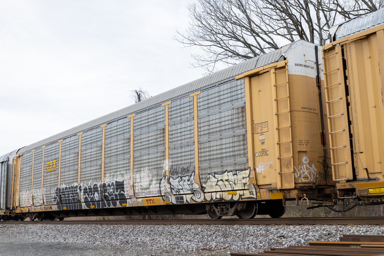 TTGX 159219