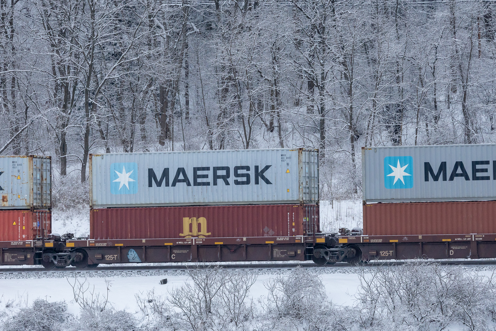 BNSF 239208C