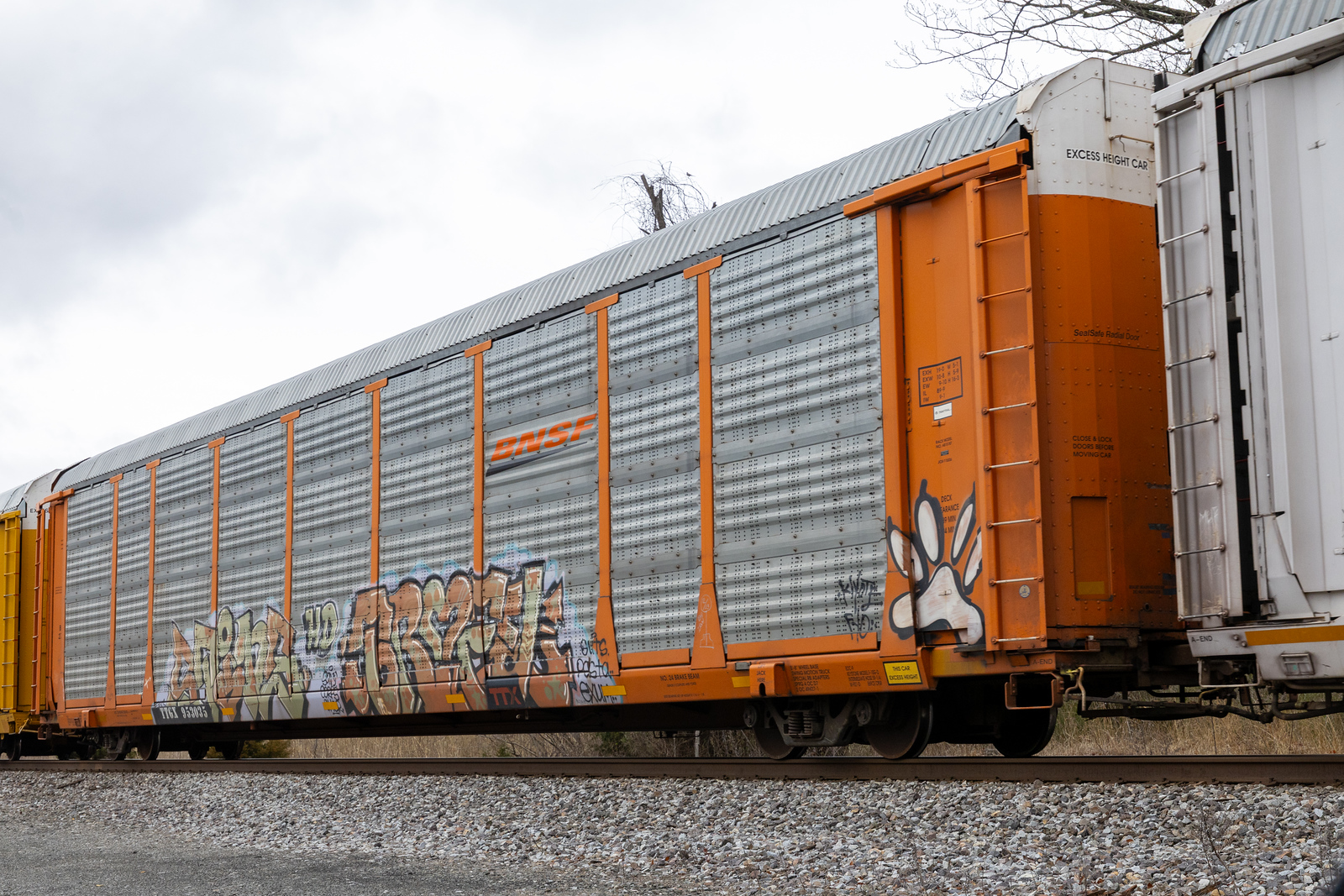 TTGX 953035