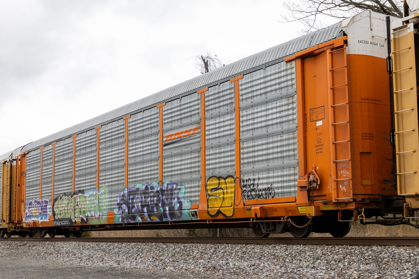 TTGX 953321