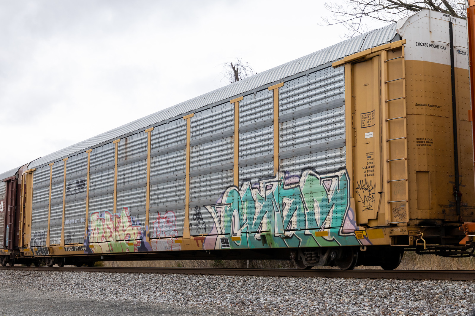 TTGX 707144