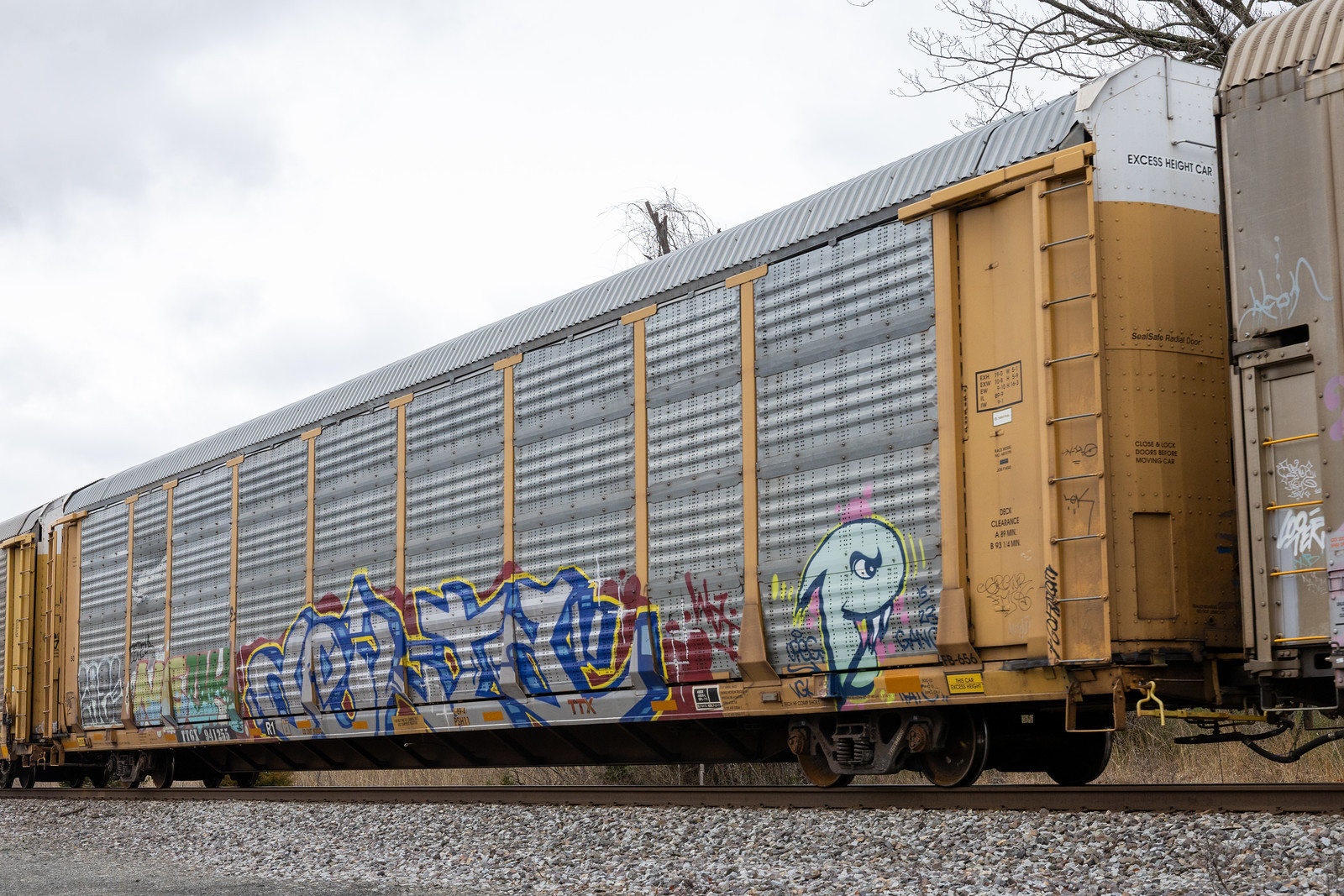 TTGX 941255
