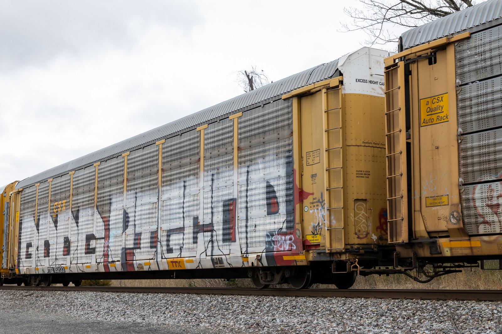 TTGX 952133