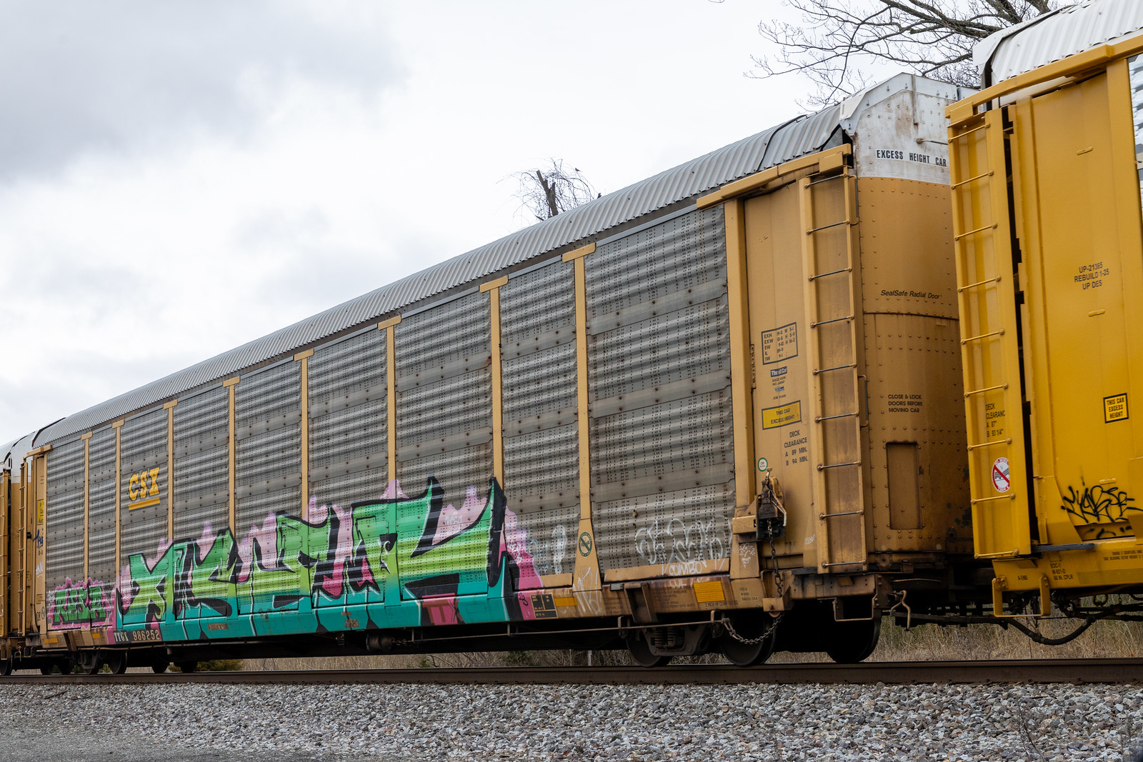 TTGX 986252