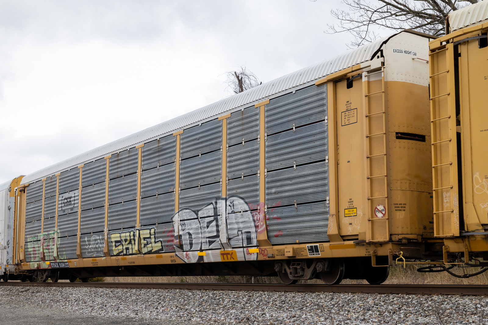 TTGX 980122