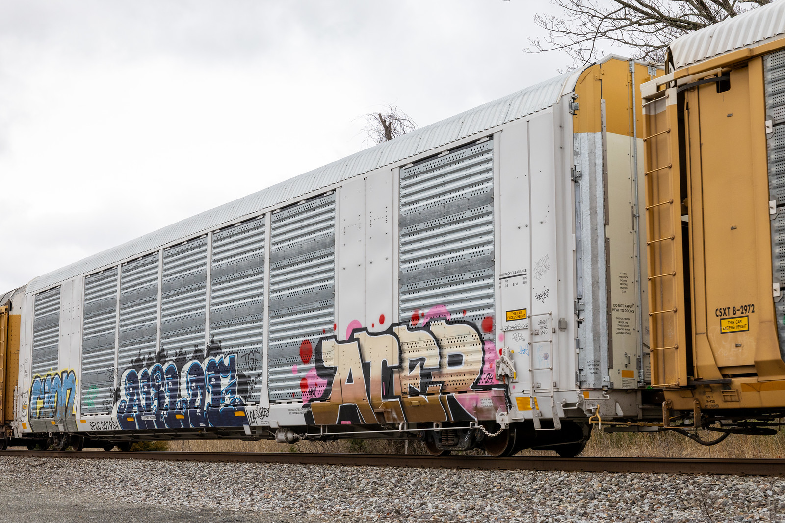 SFLC 307934