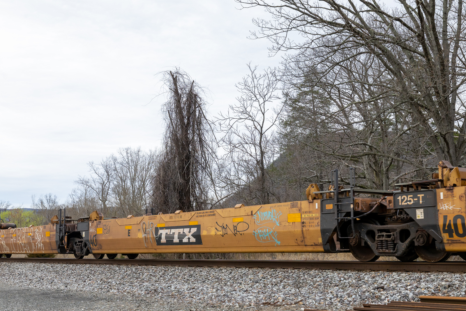 DTTX 743982E