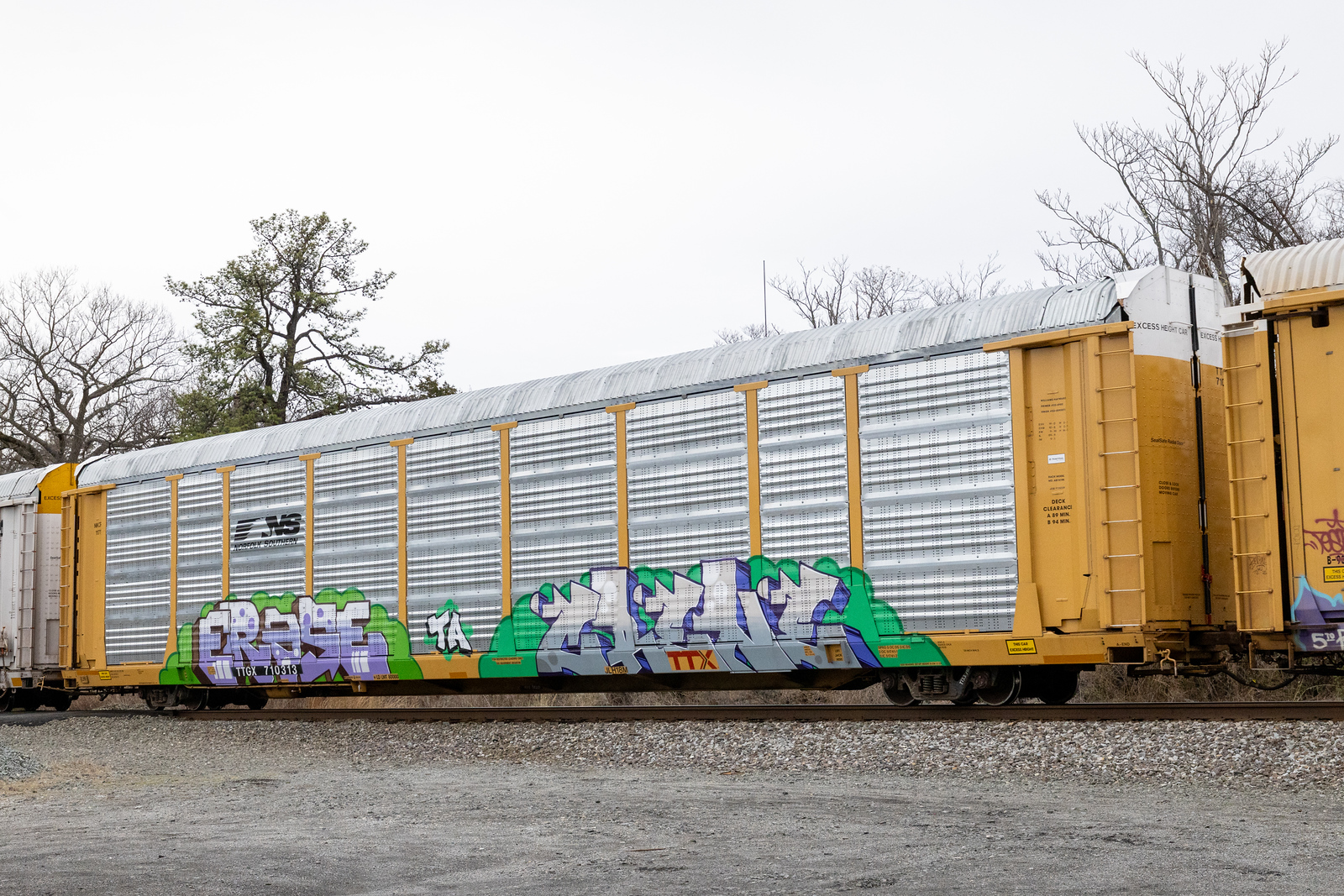TTGX 710313