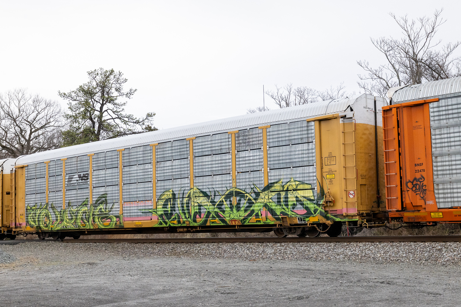 TTGX 985753