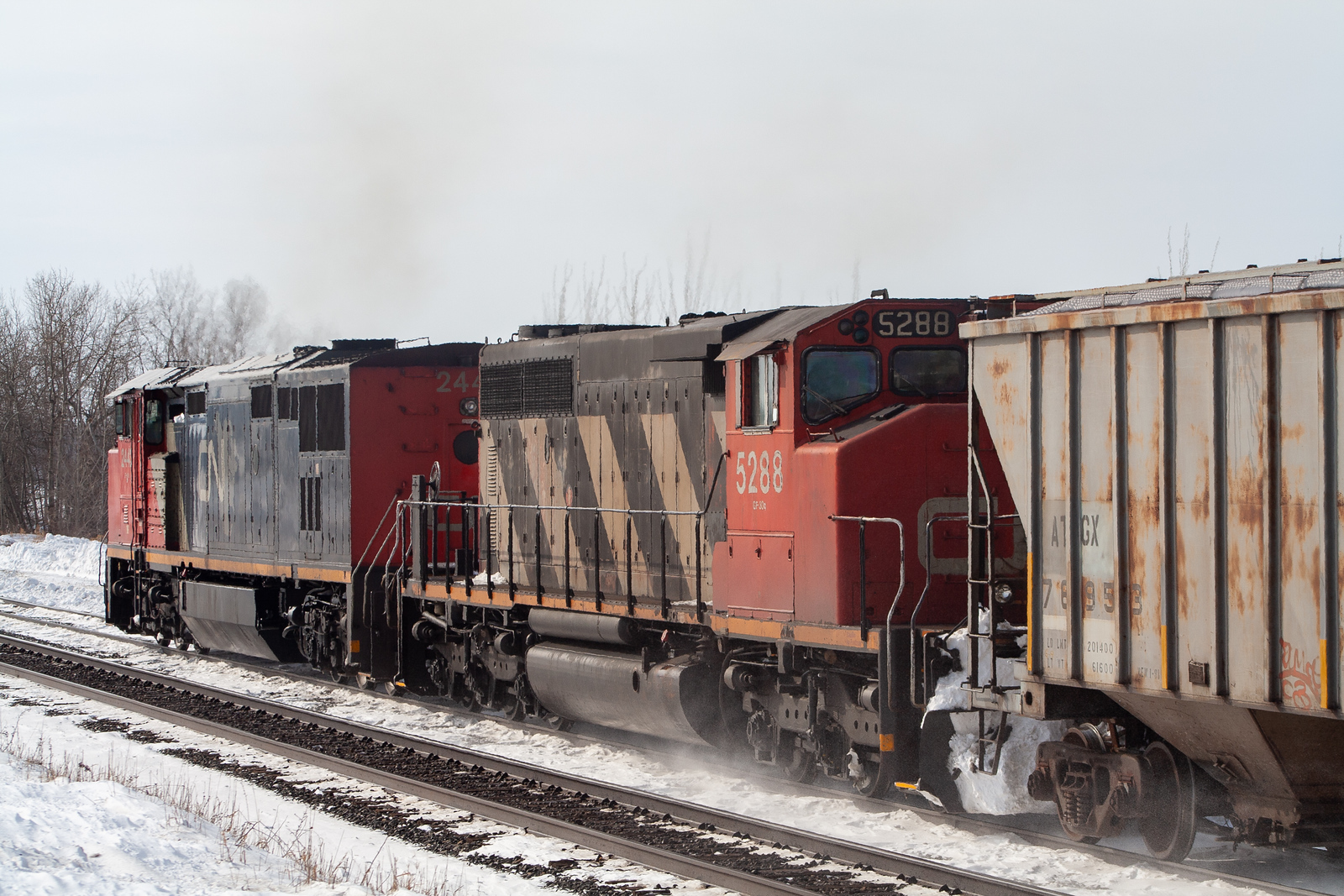 CN 5288