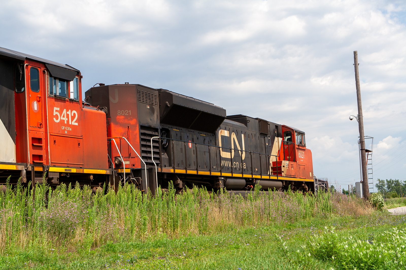 CN 8021