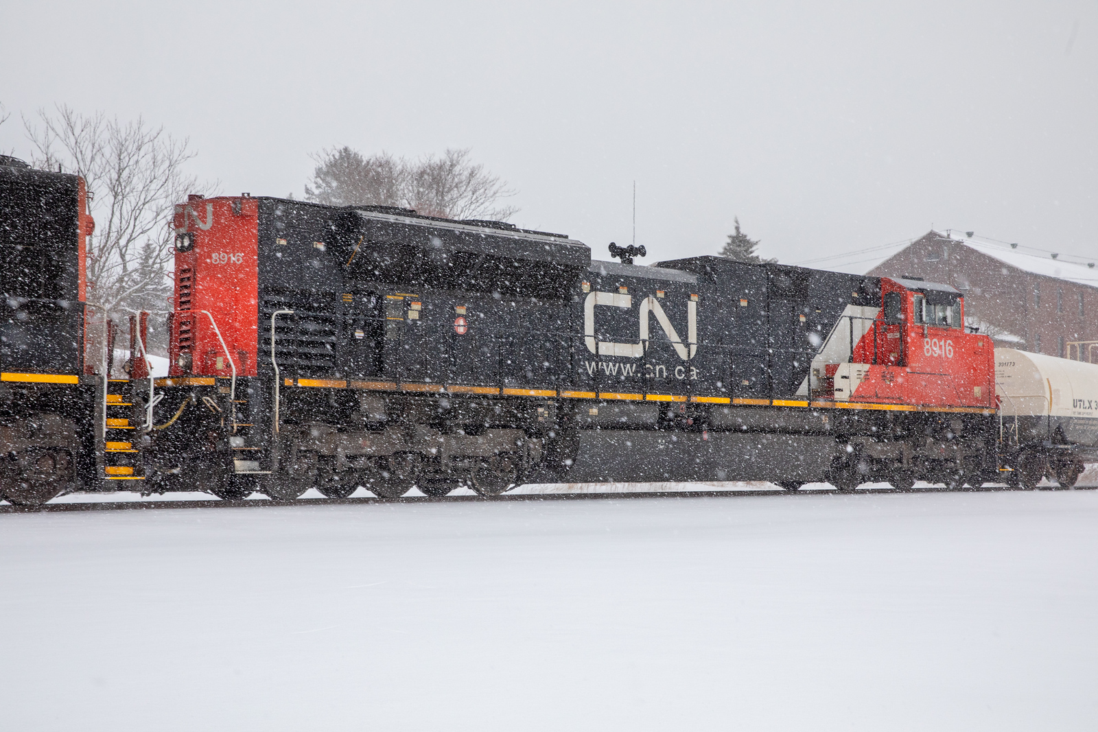 CN 8916