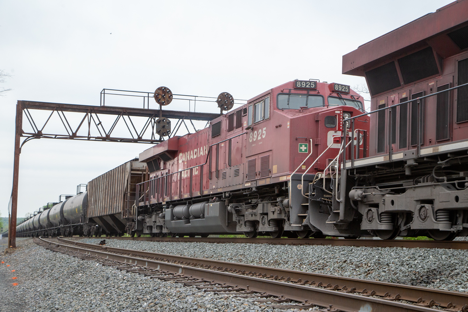 CP 8925