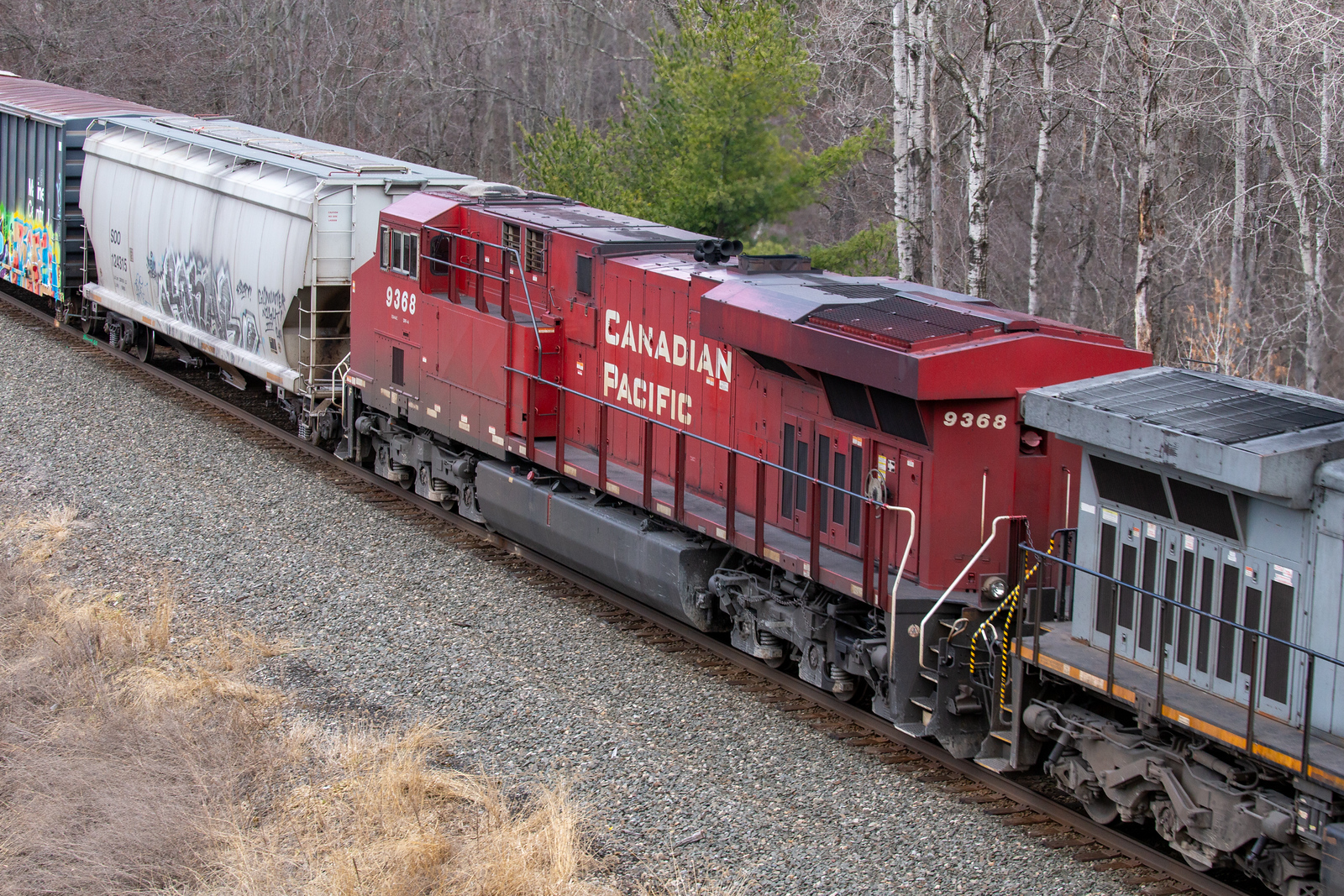 CP 9368