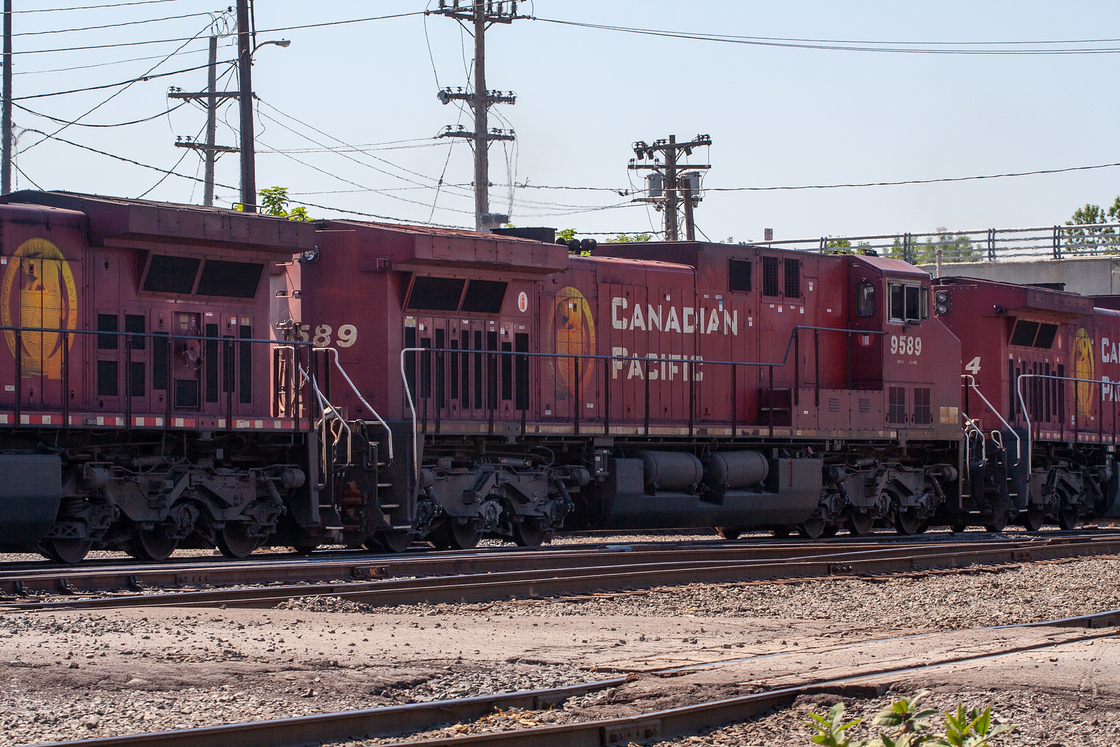 CP 9589