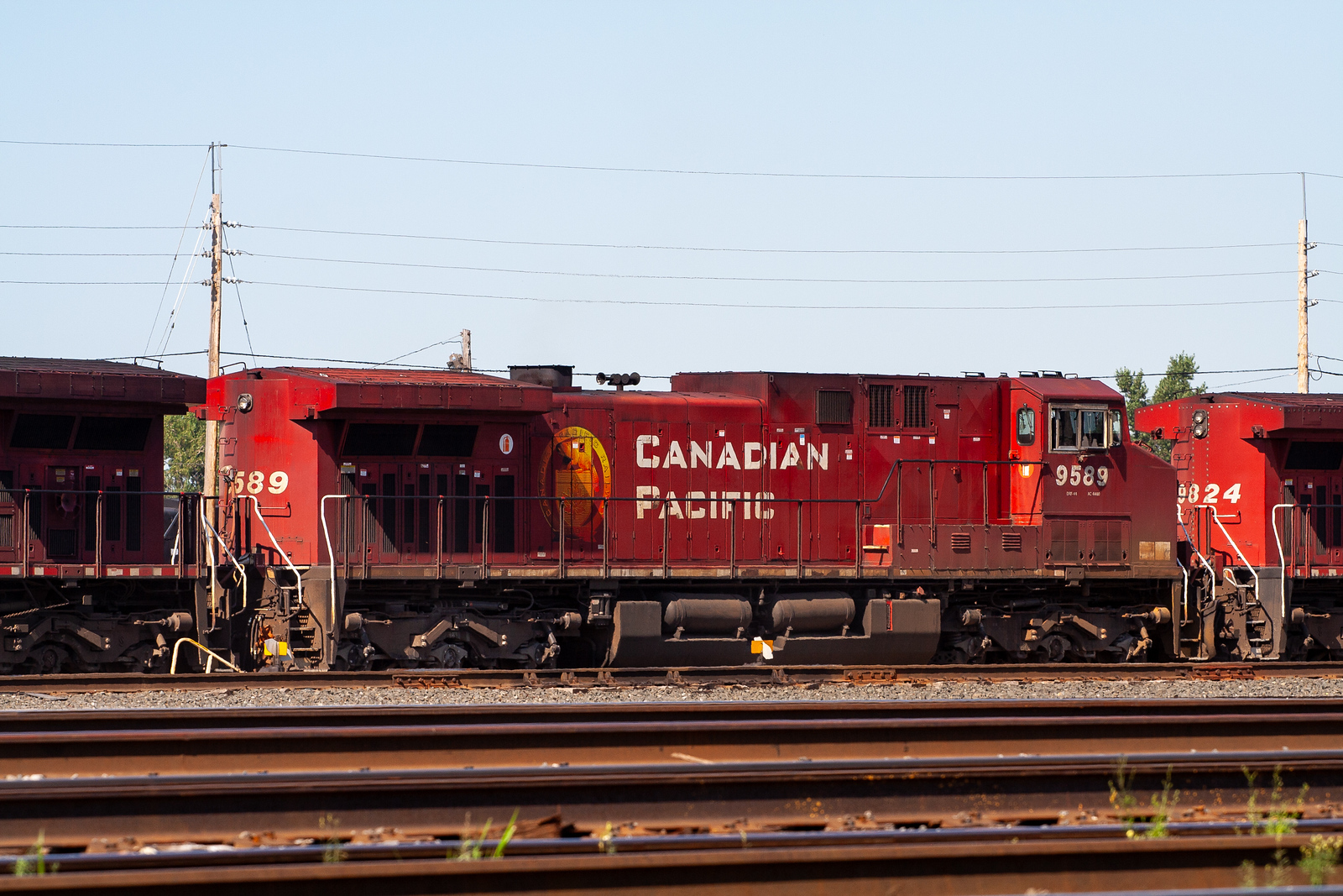 CP 9589