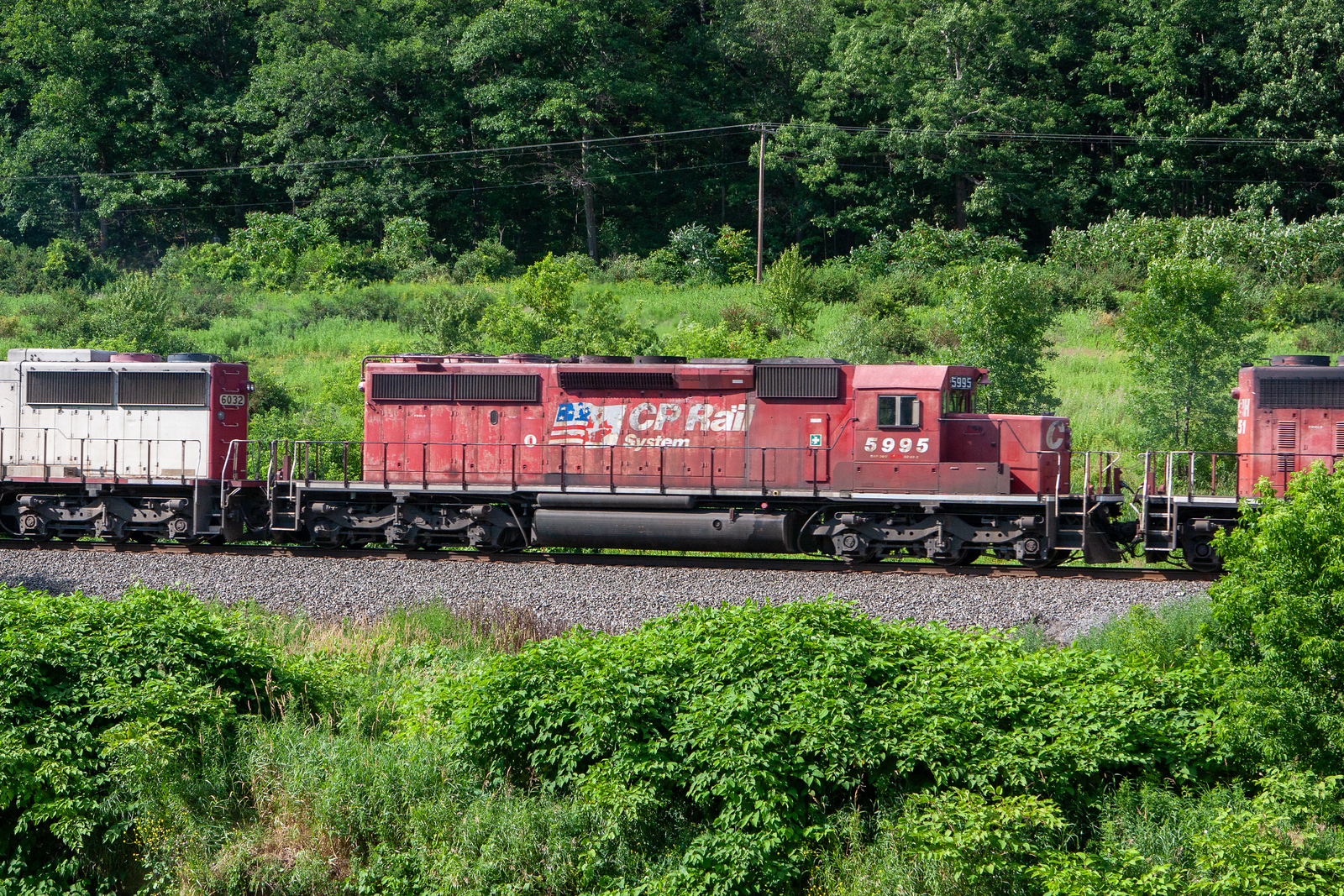 CP 5995