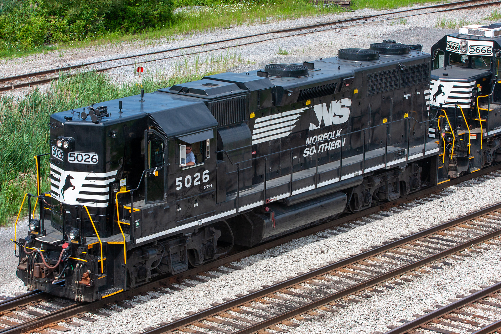 NS 5026