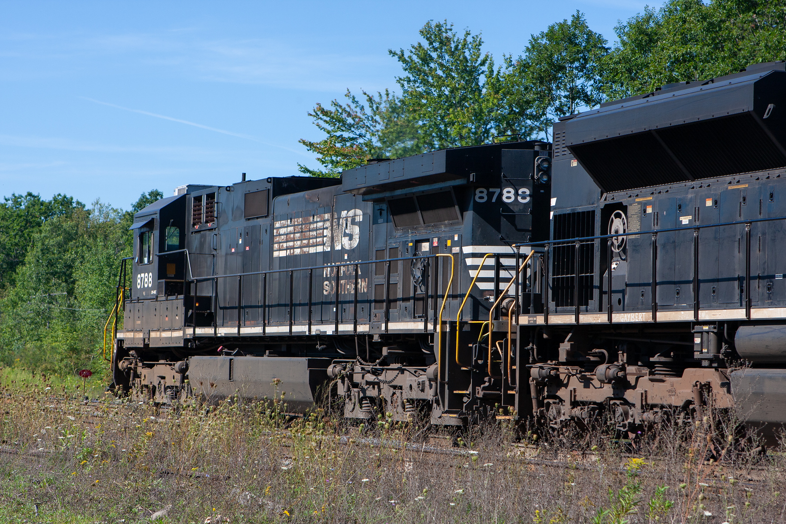NS 8788