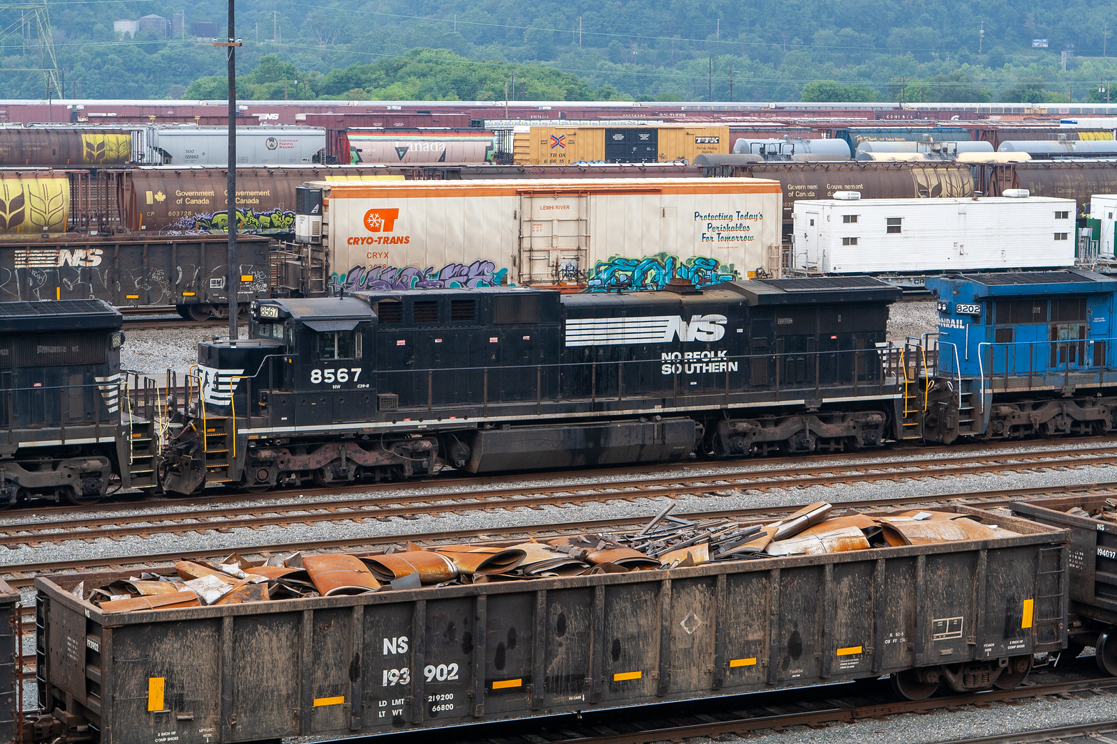 NS 8567