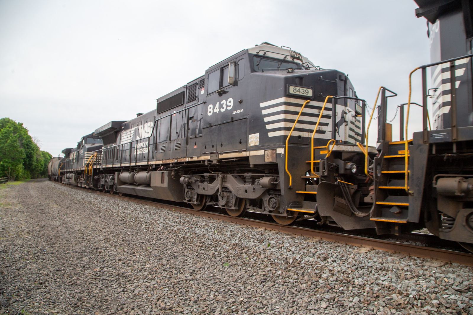 NS 8439