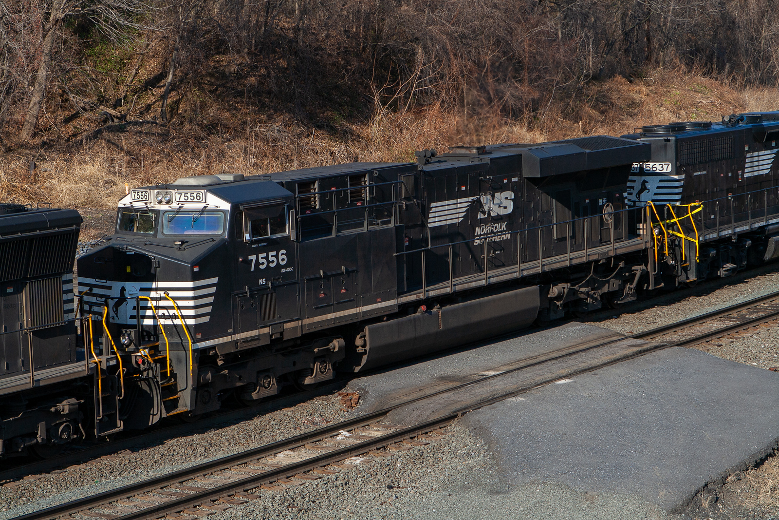 NS 7556