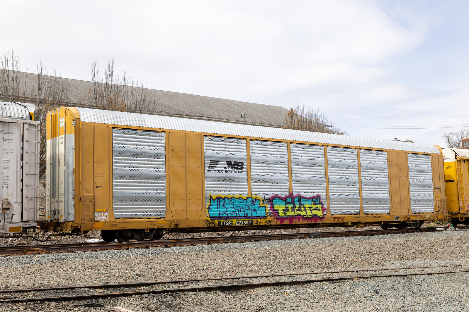 TTGX 823562