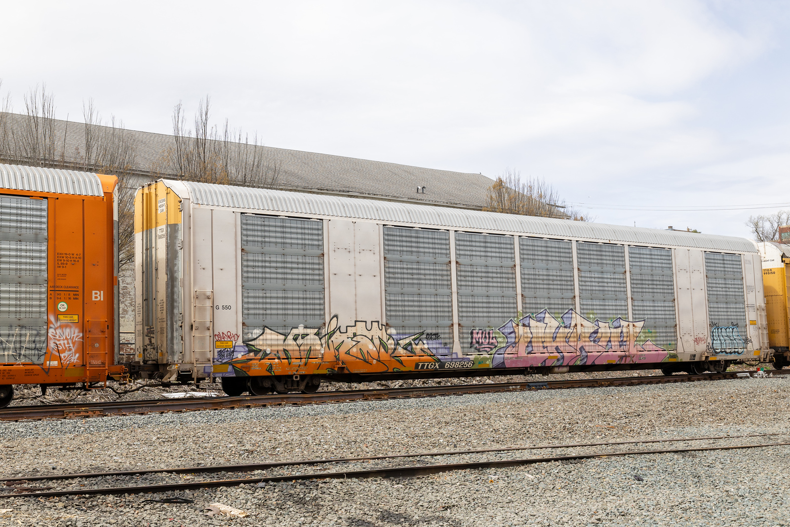 TTGX 698256