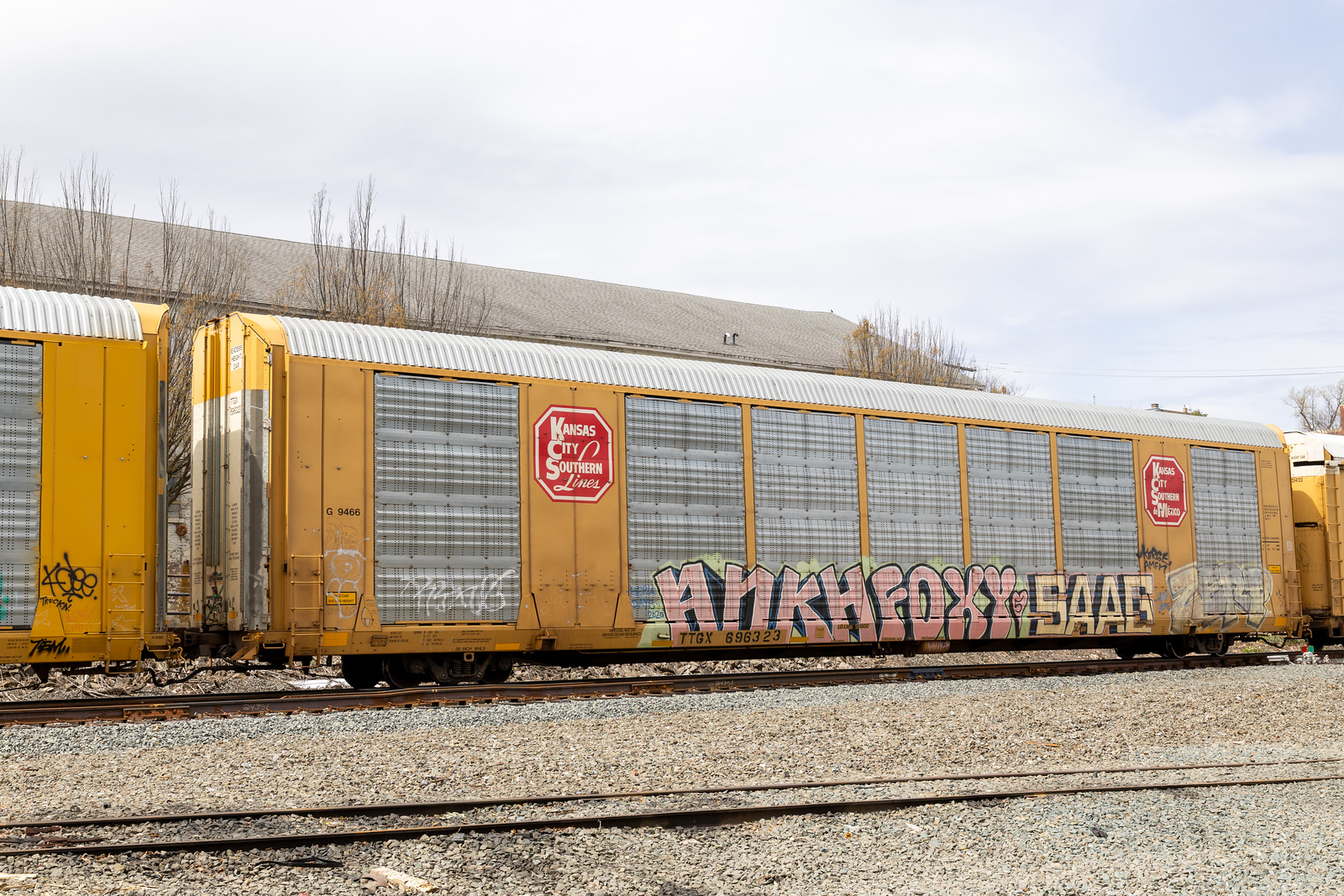 TTGX 696323