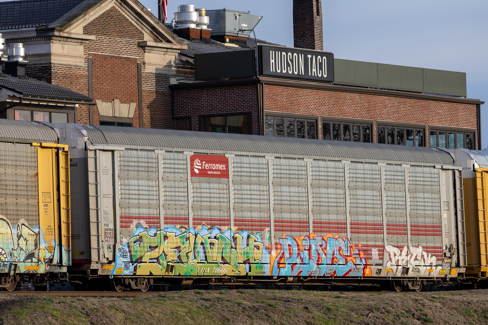 TTGX 706662