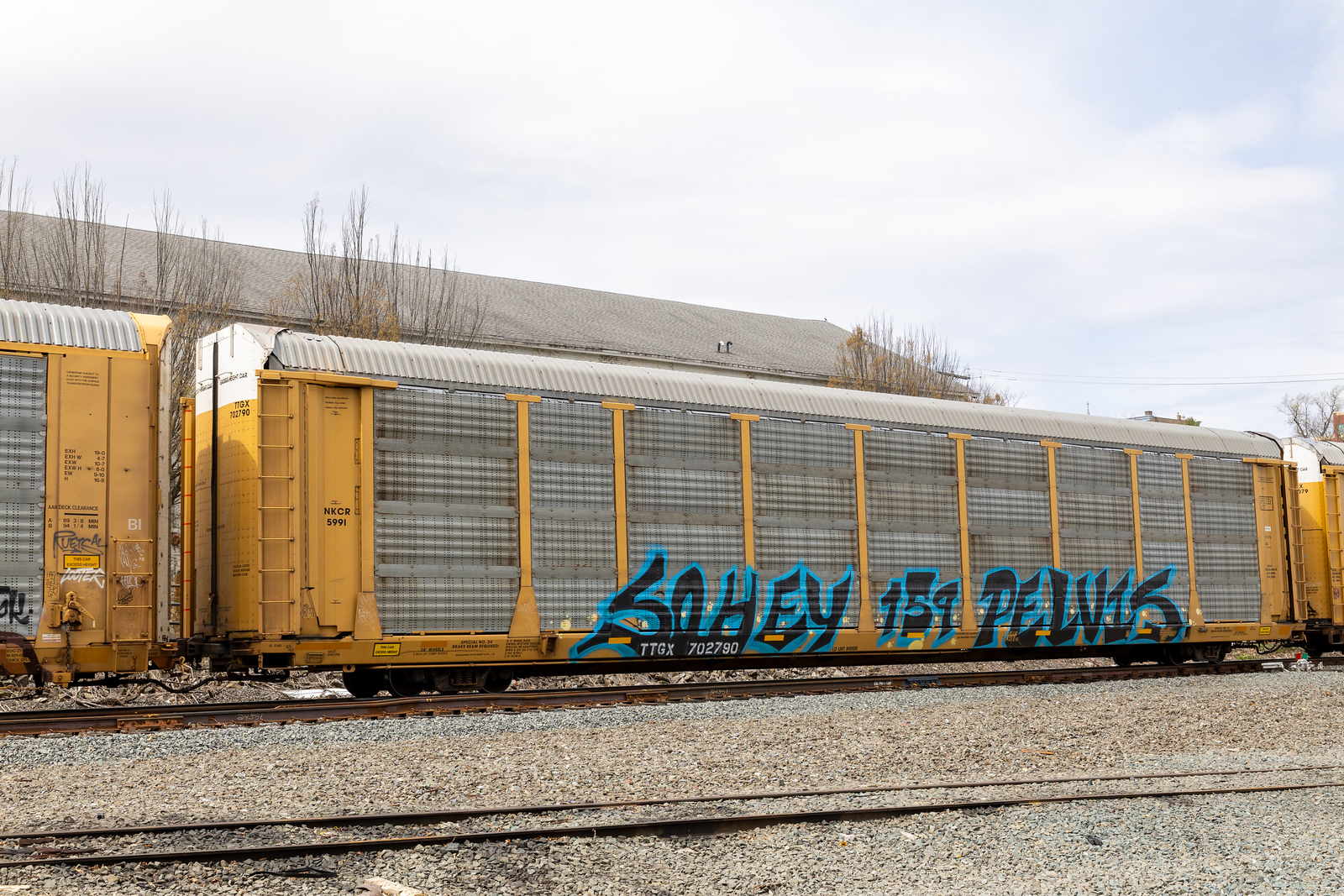 TTGX 702790