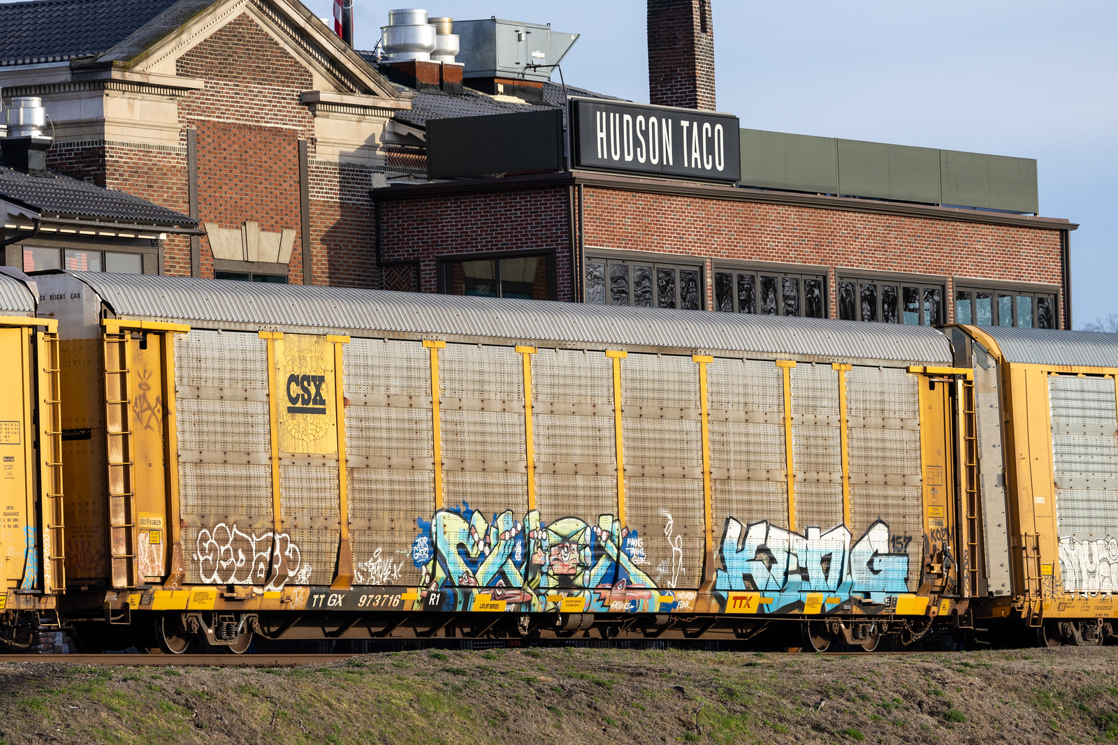 TTGX 973716