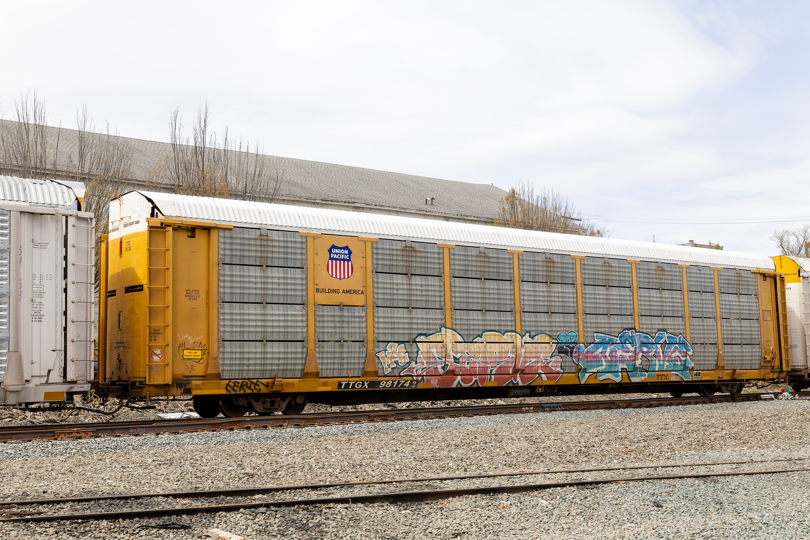 TTGX 981742