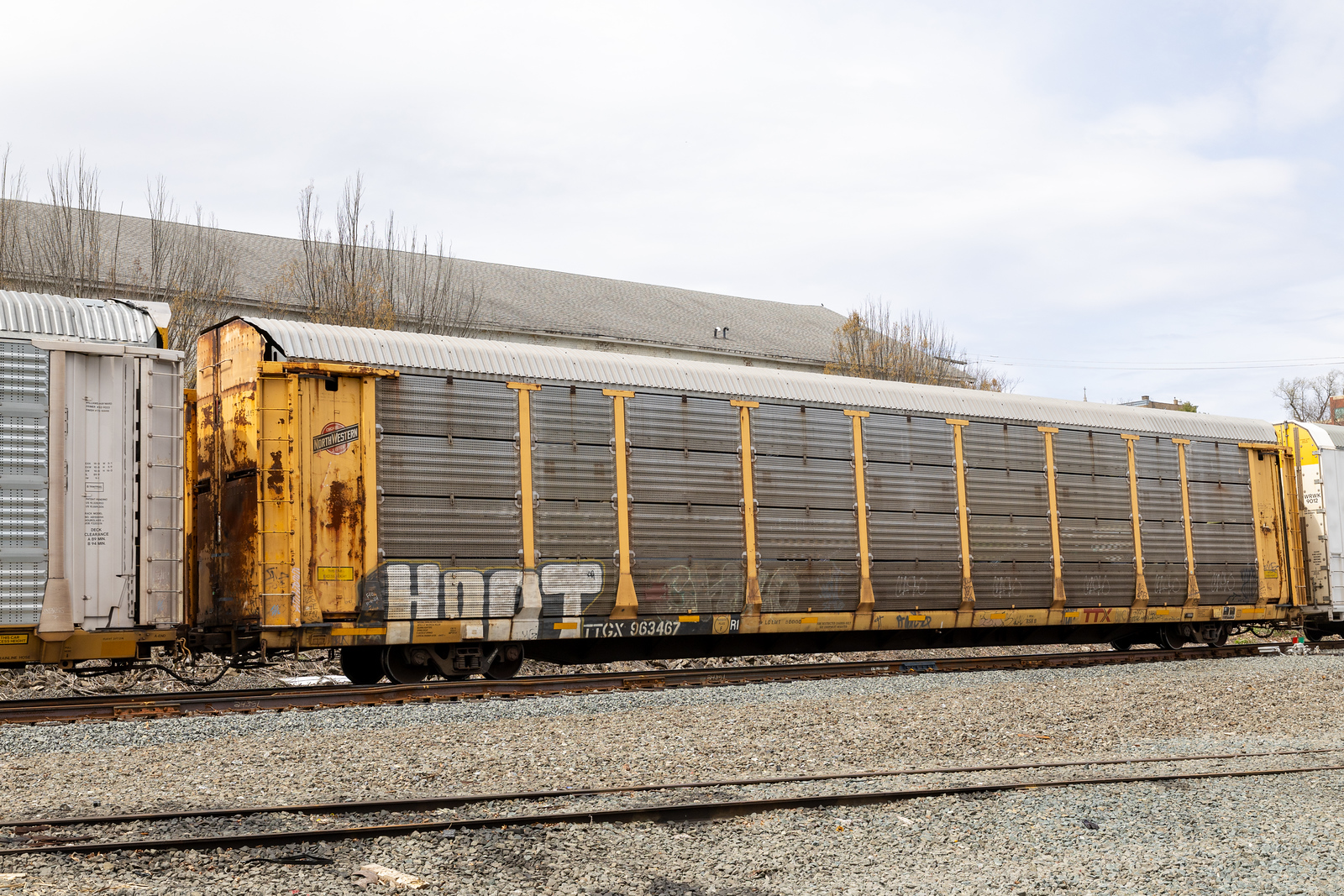 TTGX 963467