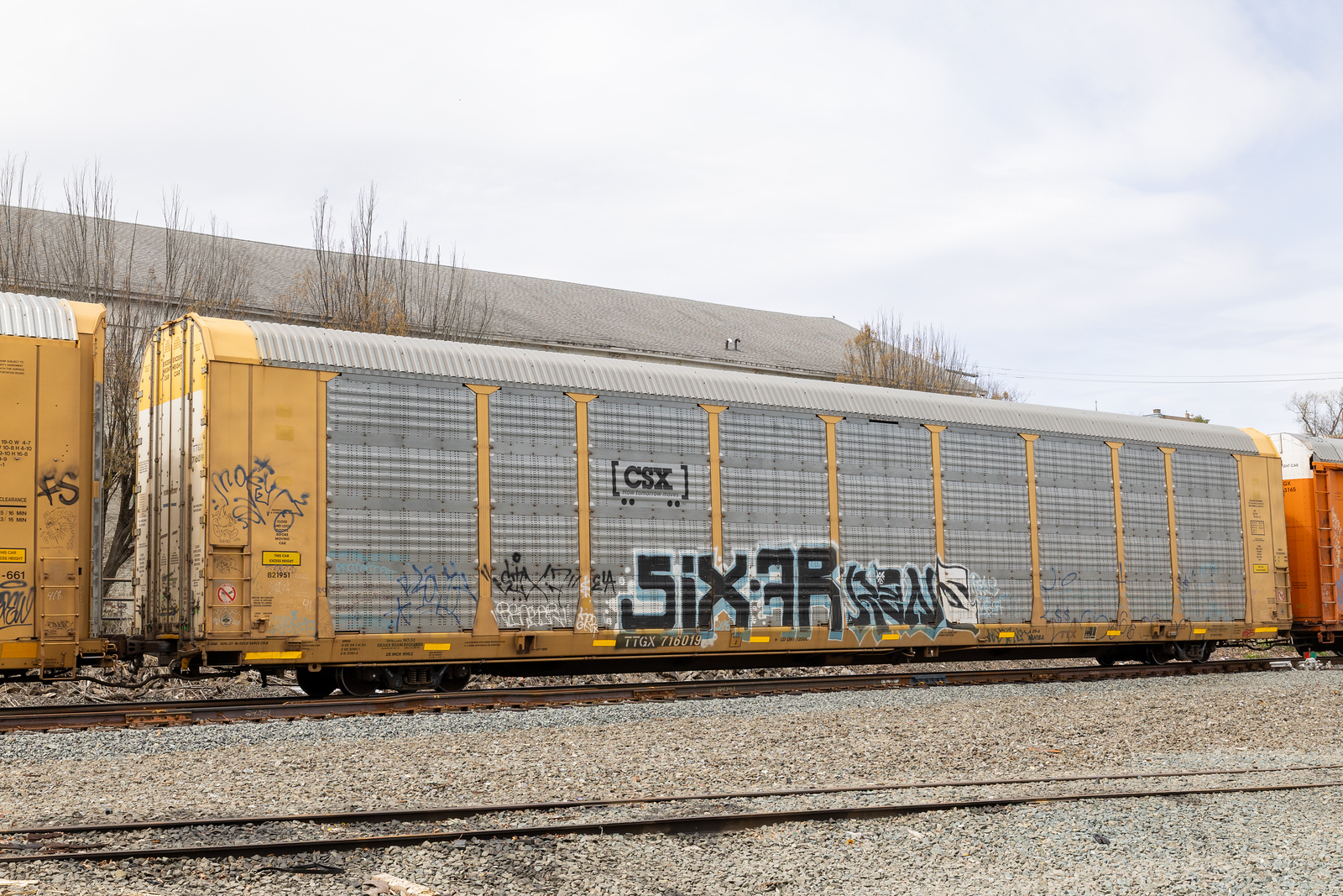 TTGX 716019