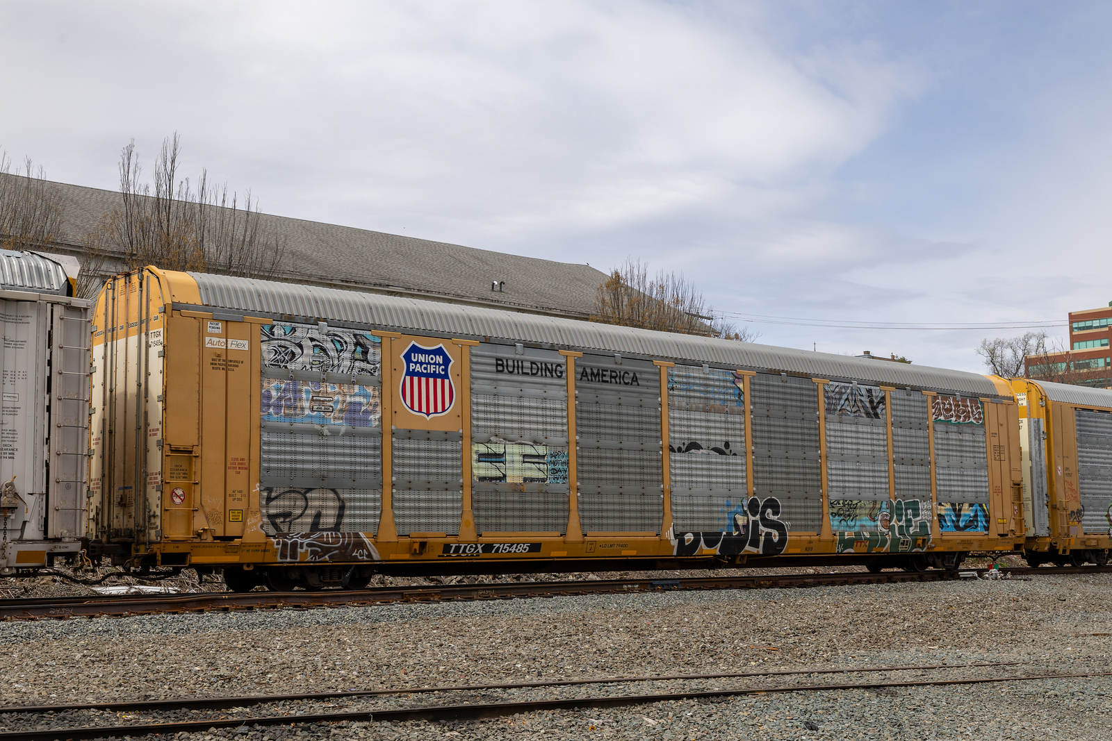TTGX 715485