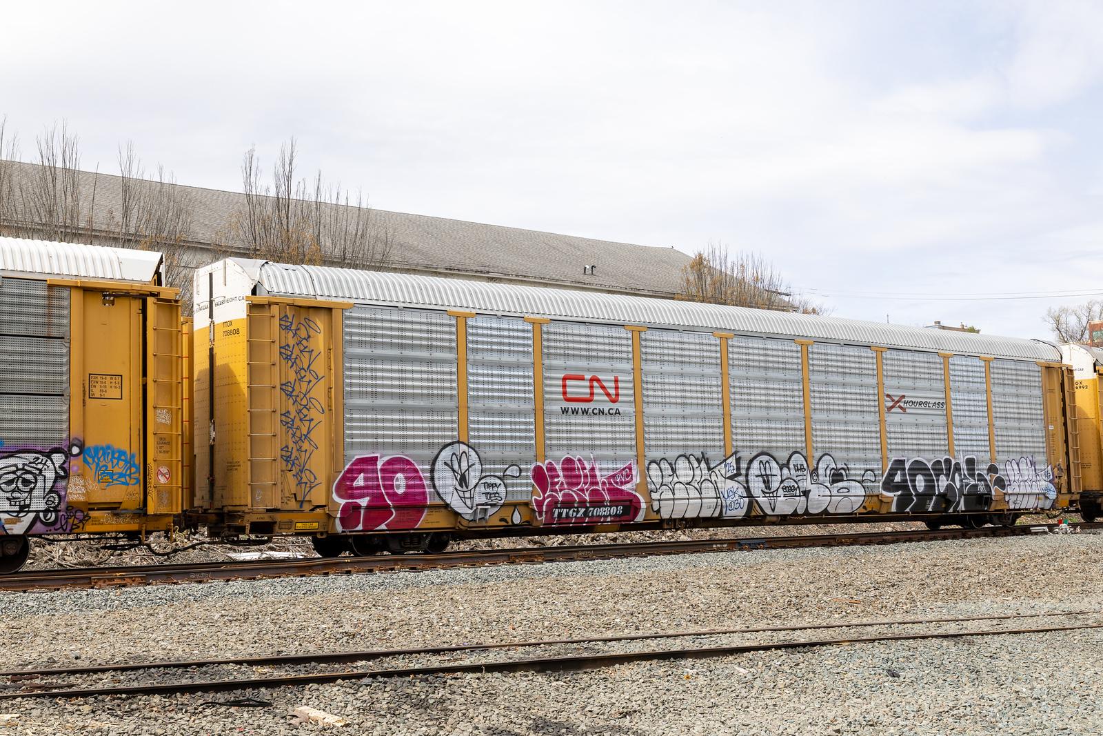 TTGX 708808