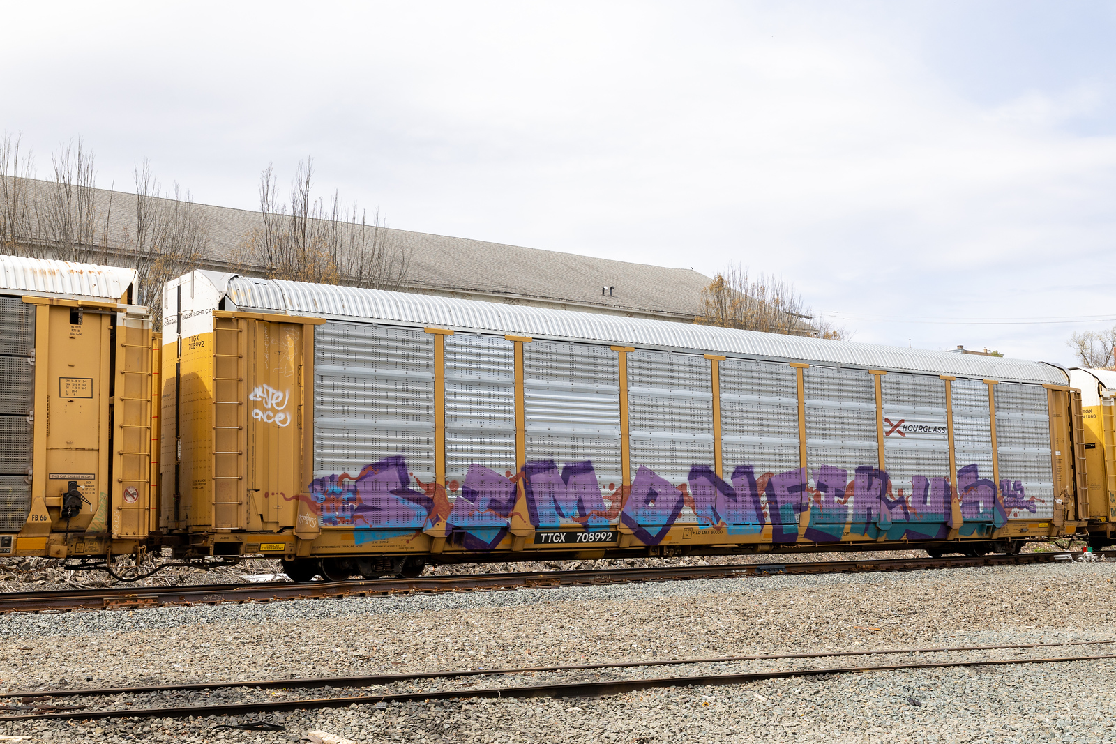 TTGX 708992