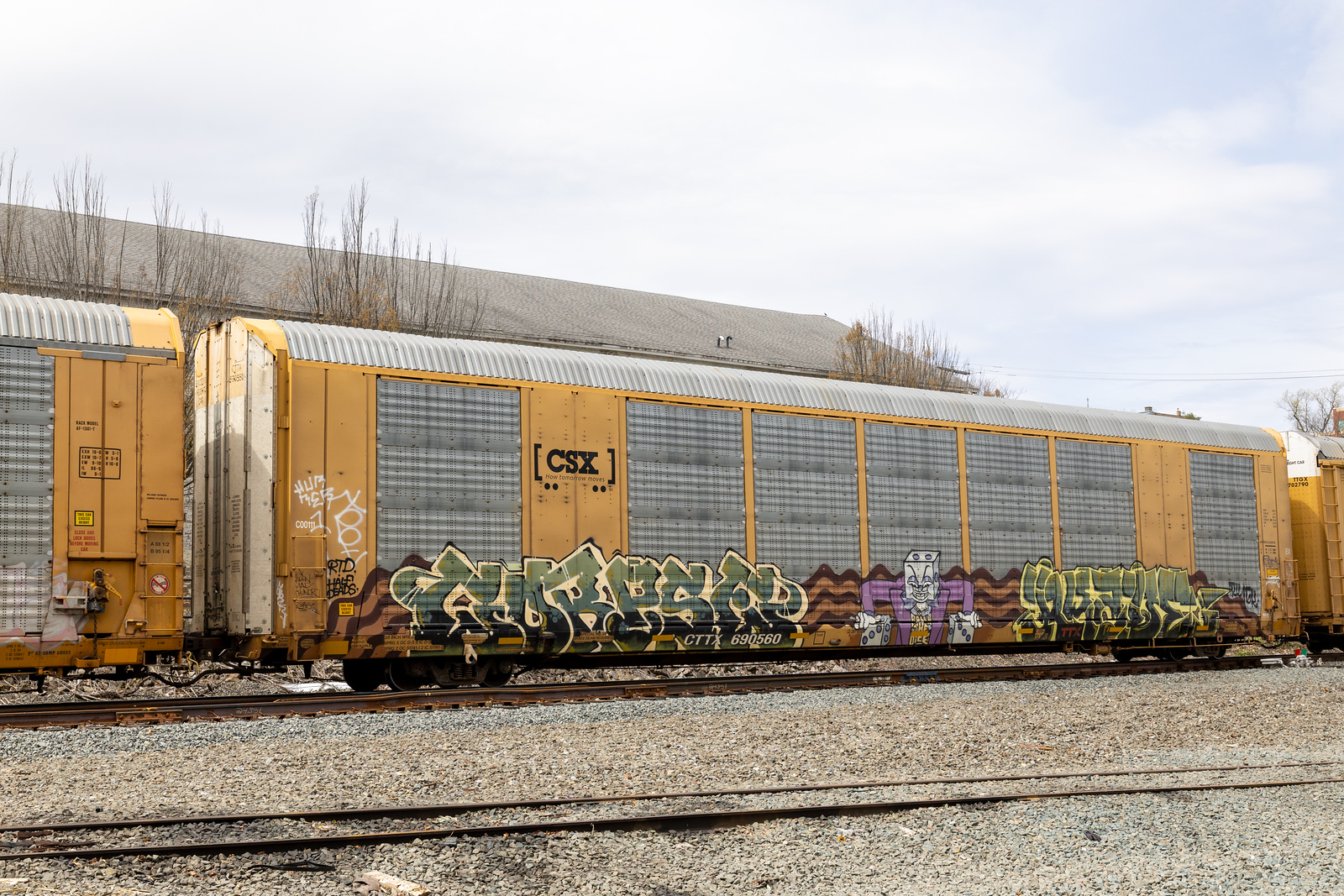 CTTX 690560