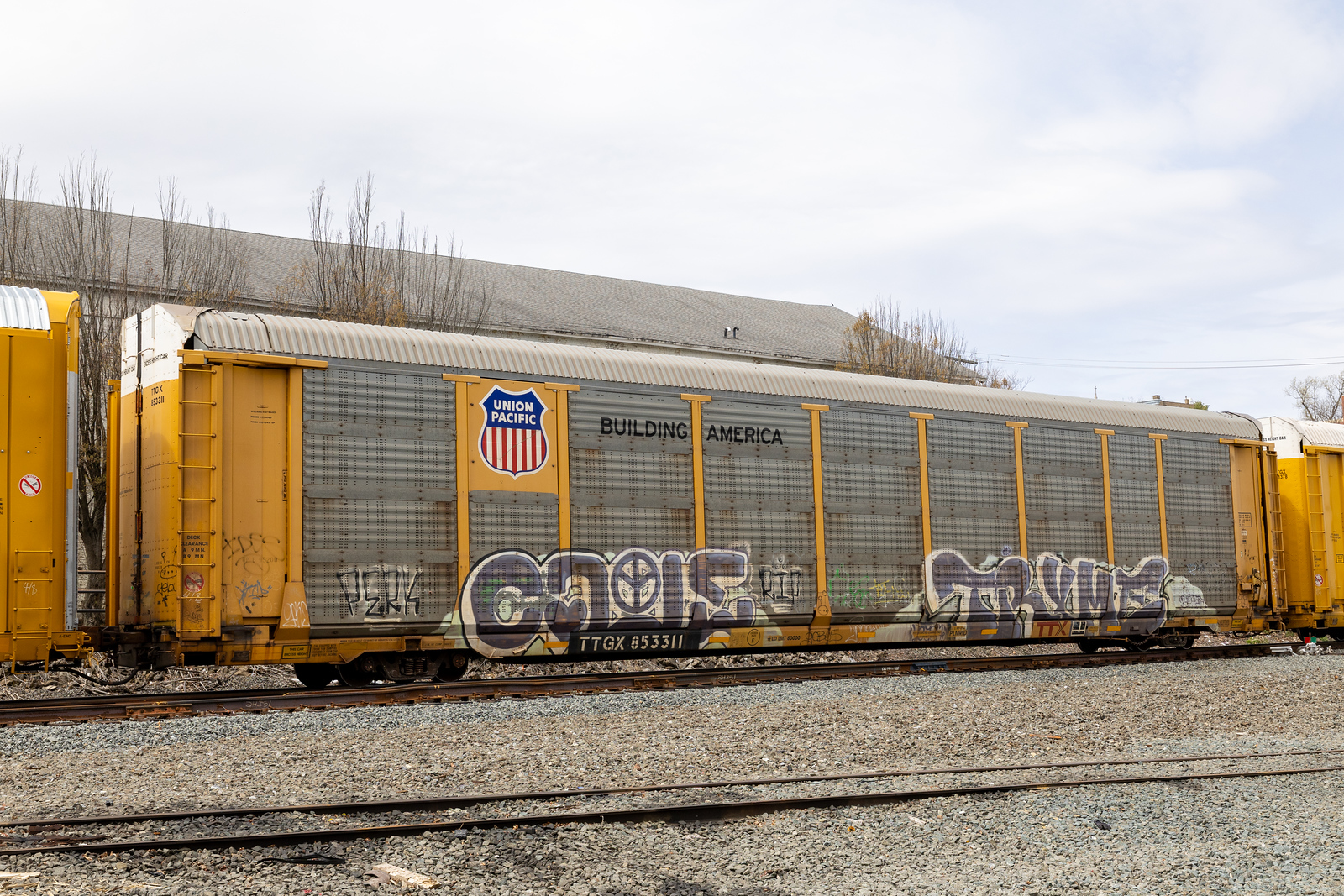 TTGX 853311