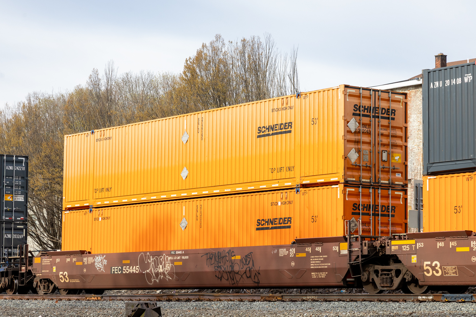 FEC 55445A