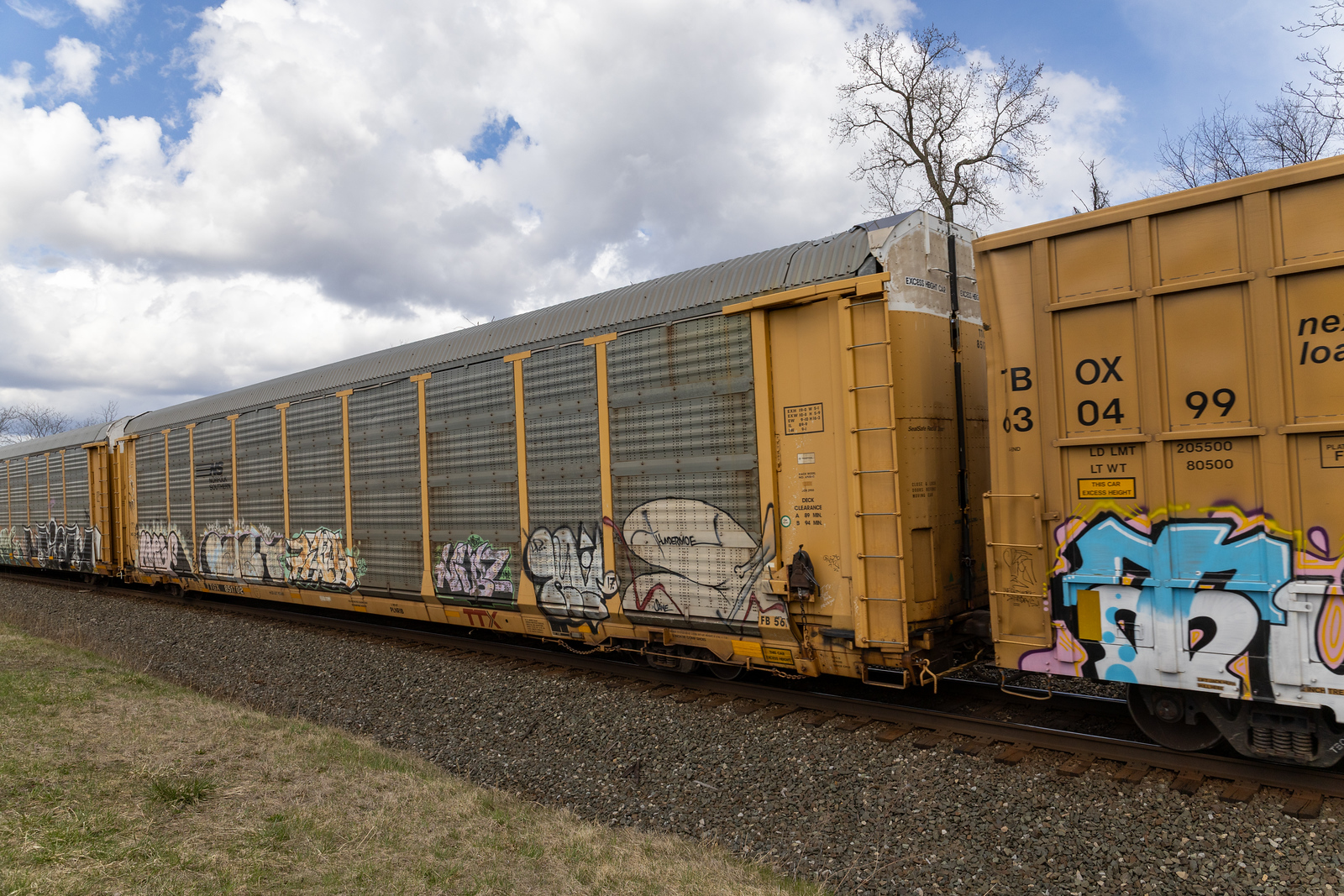TTGX 851702