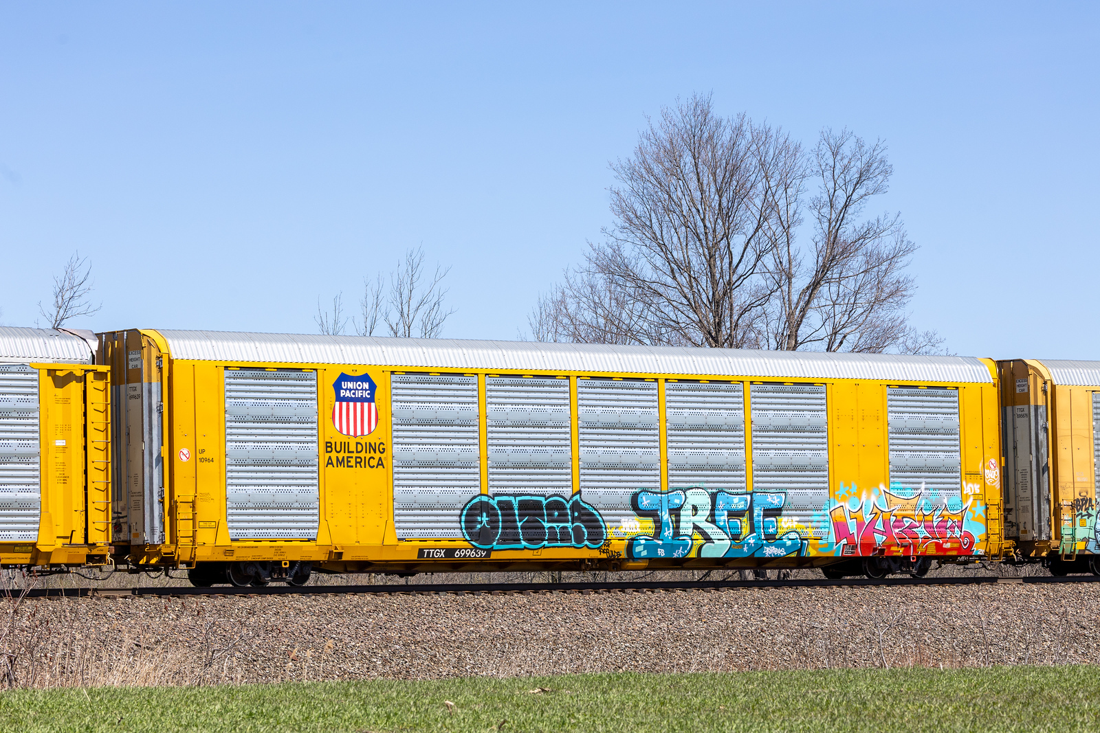 TTGX 699639