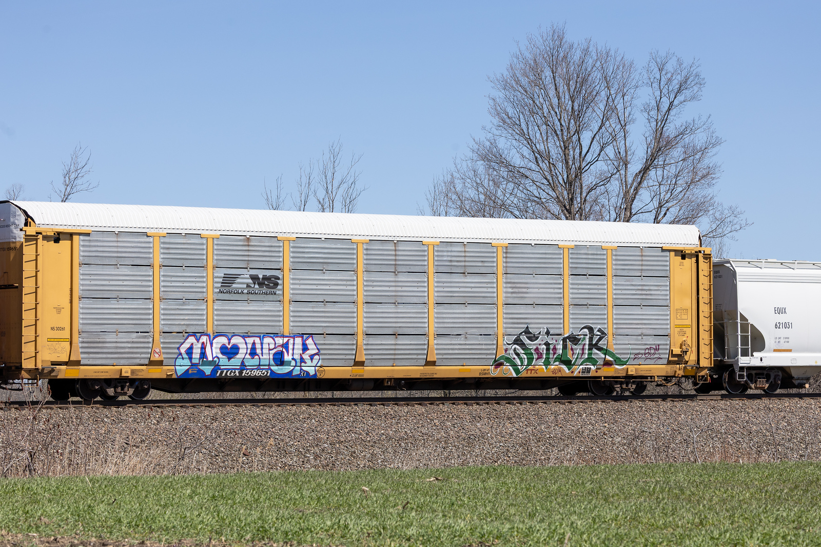 TTGX 159651