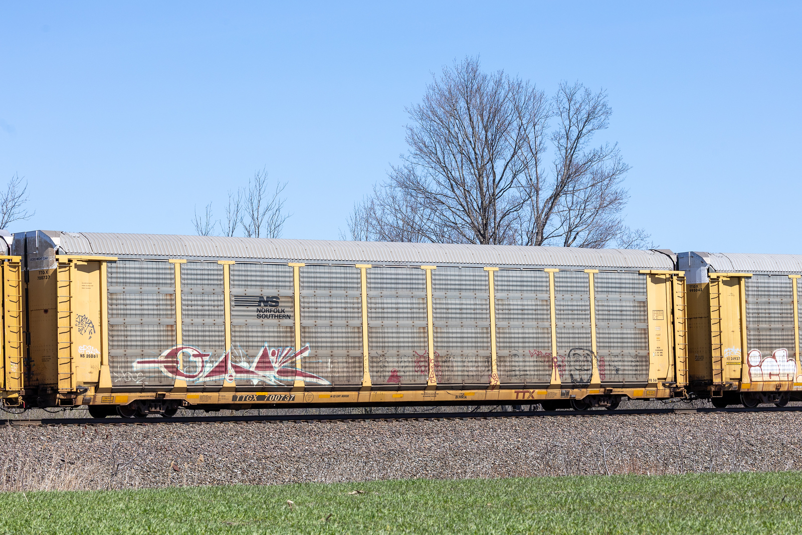 TTGX 700737