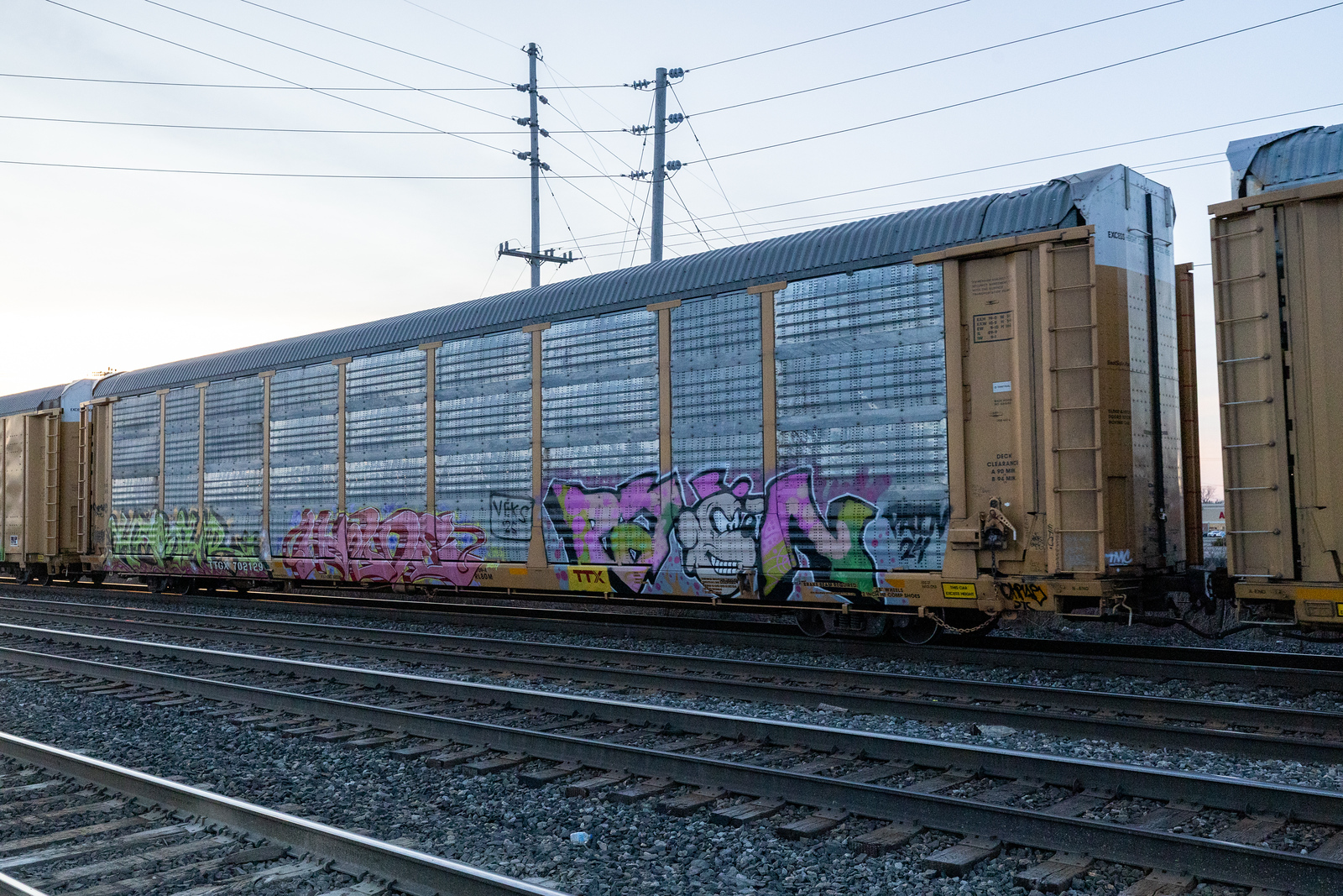 TTGX 702129