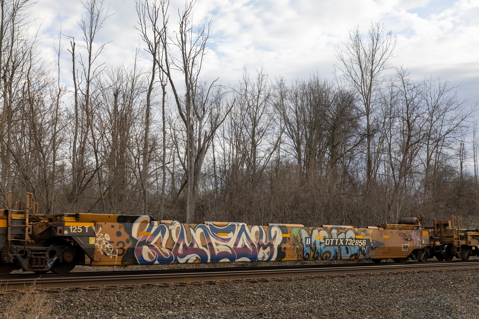 DTTX 732856B
