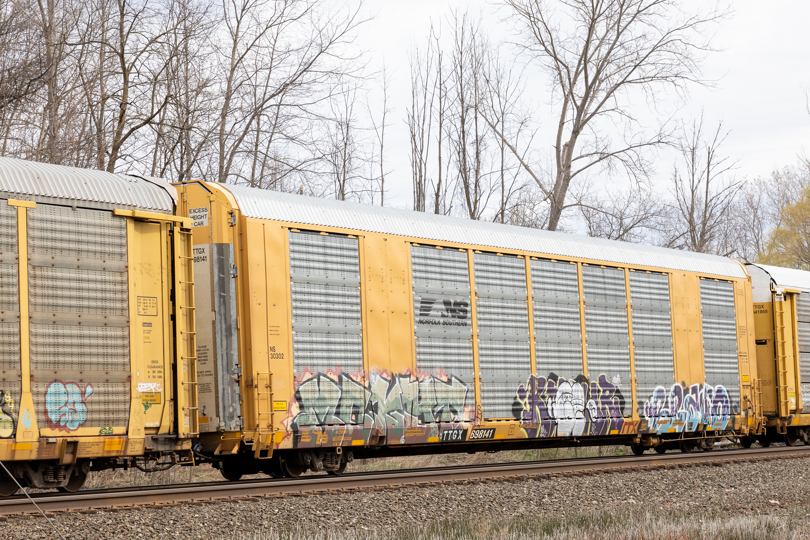 TTGX 698141