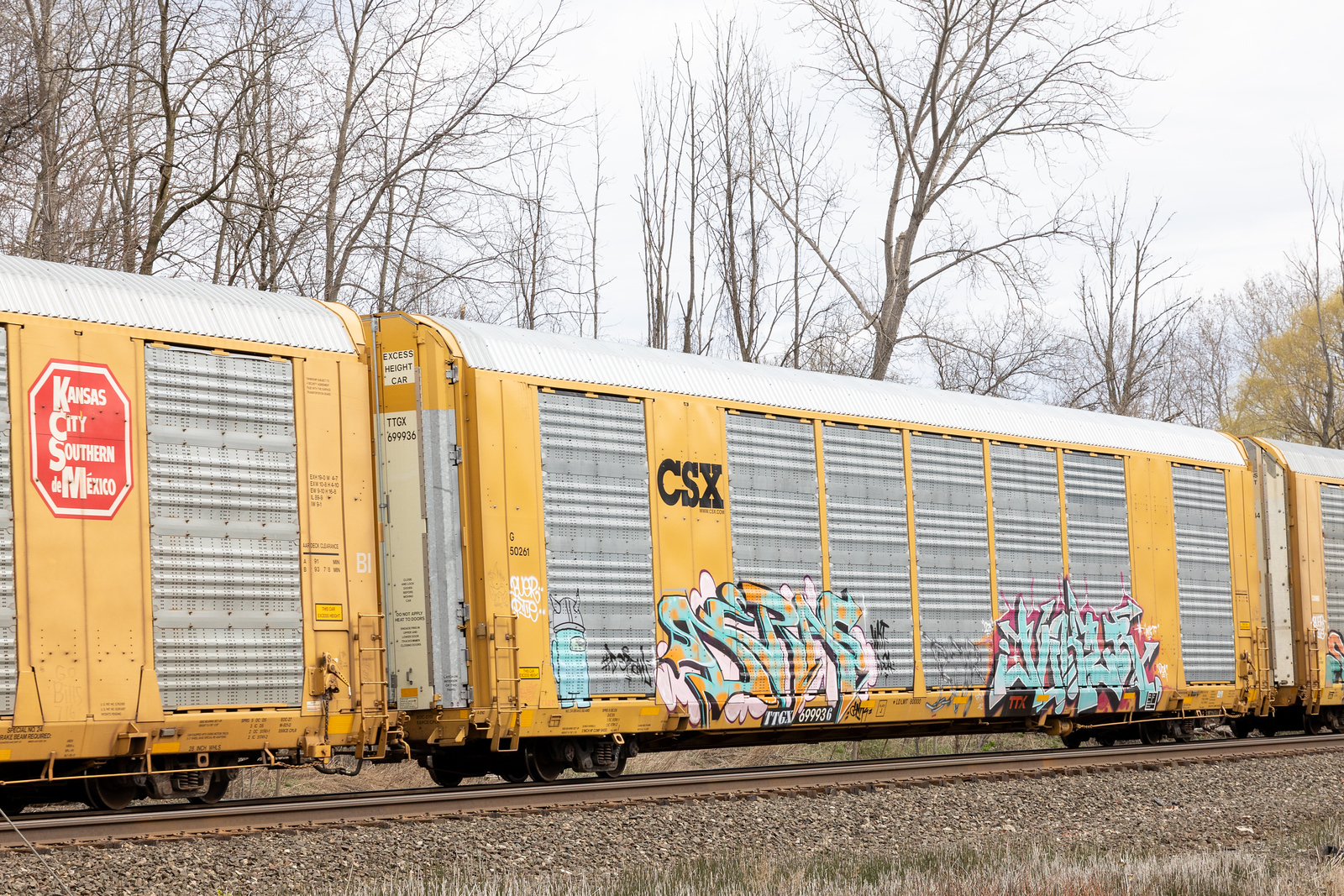 TTGX 699936